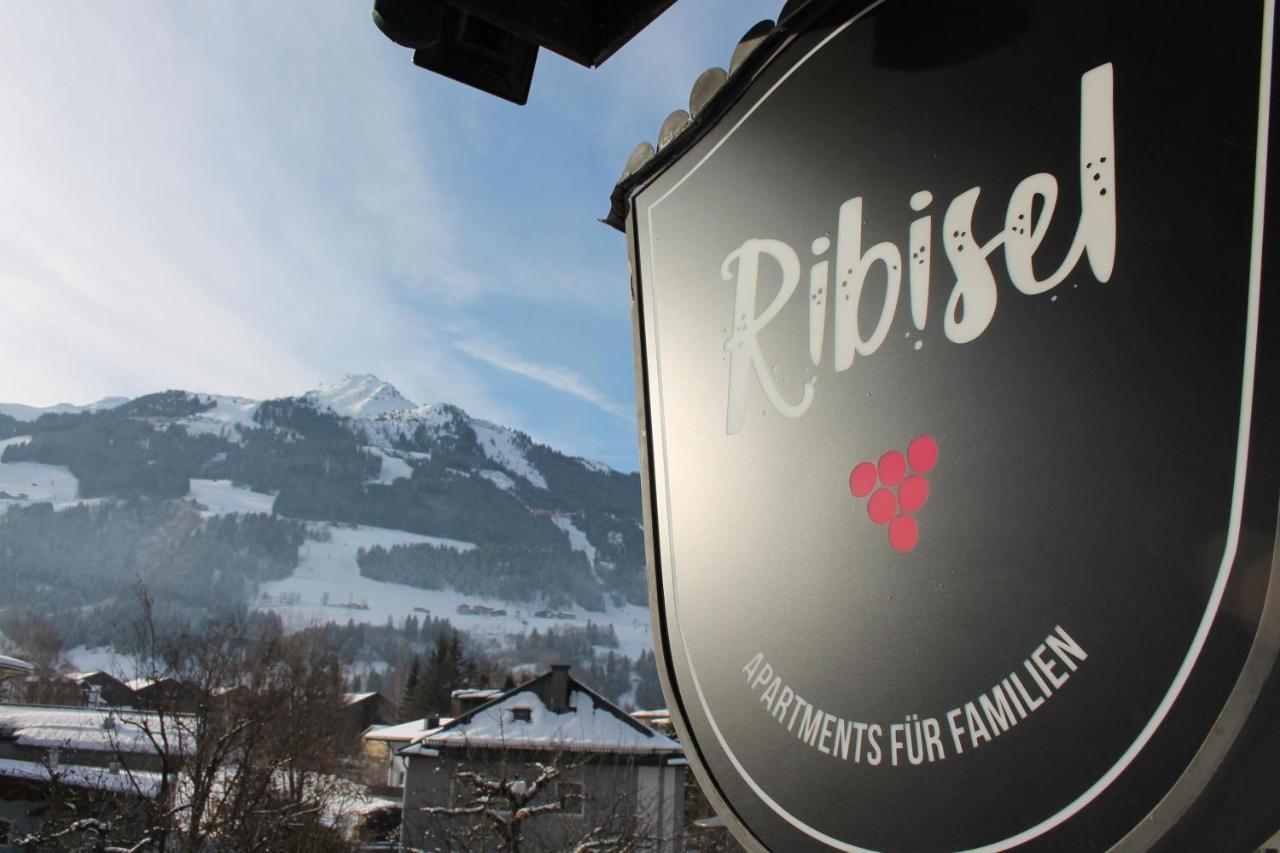 Ribisel Apartments Fuer Familien - Alpentherme Inklusive! Bad Hofgastein Ngoại thất bức ảnh